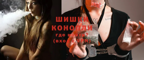 apvp Осинники