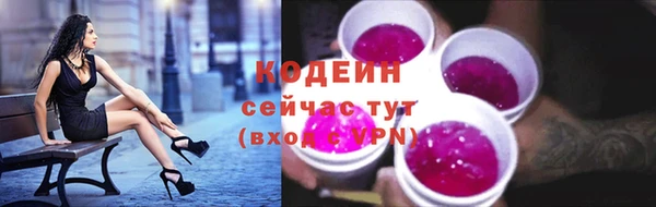 apvp Осинники