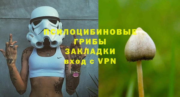 apvp Осинники